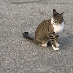 Meet your Posher, Arturo